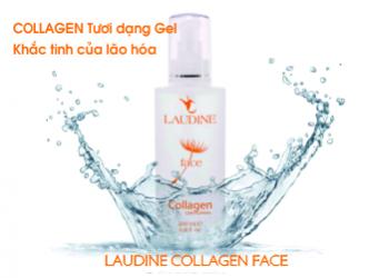 Face Collagen